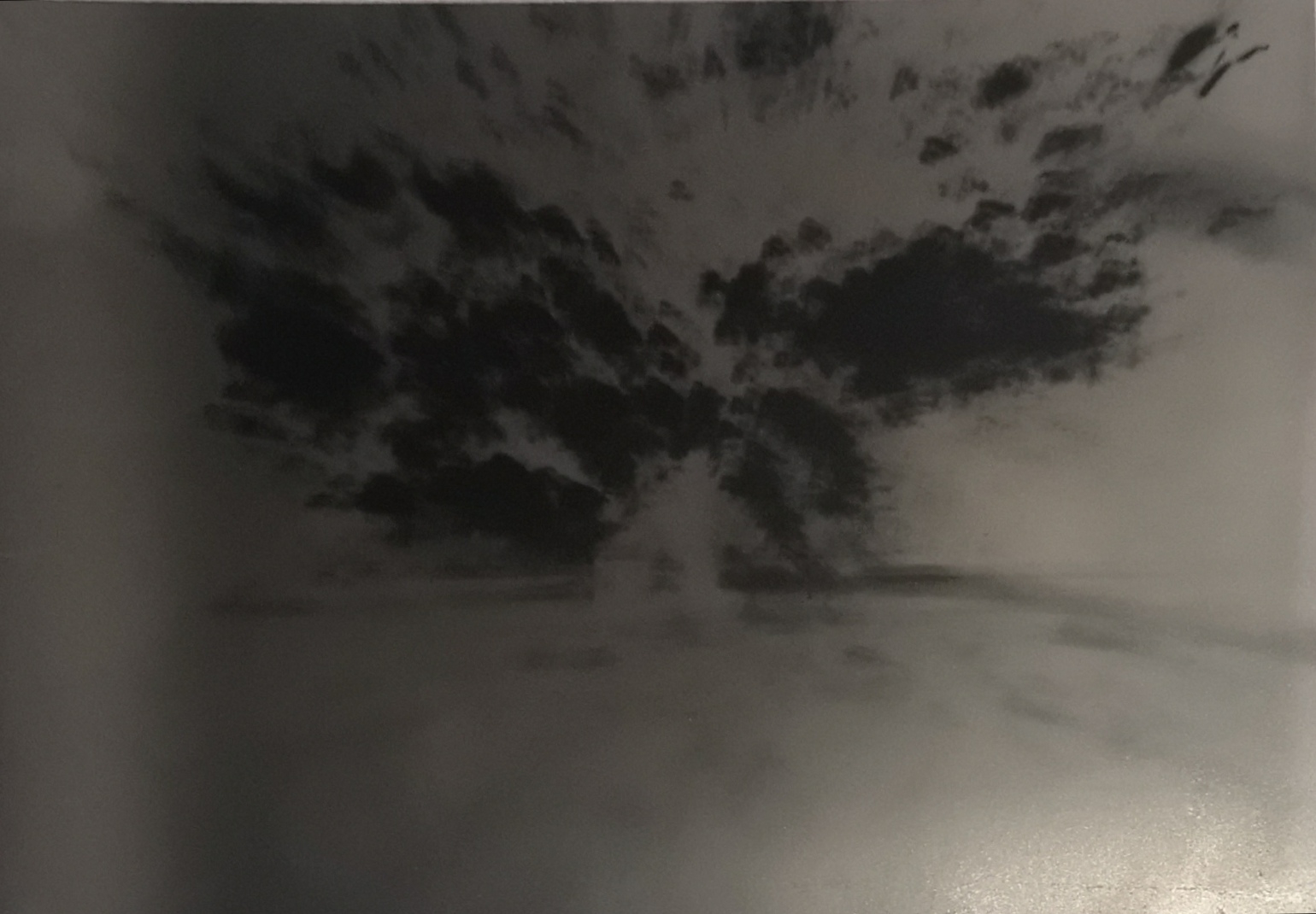 IMG_20191214_215650.jpg