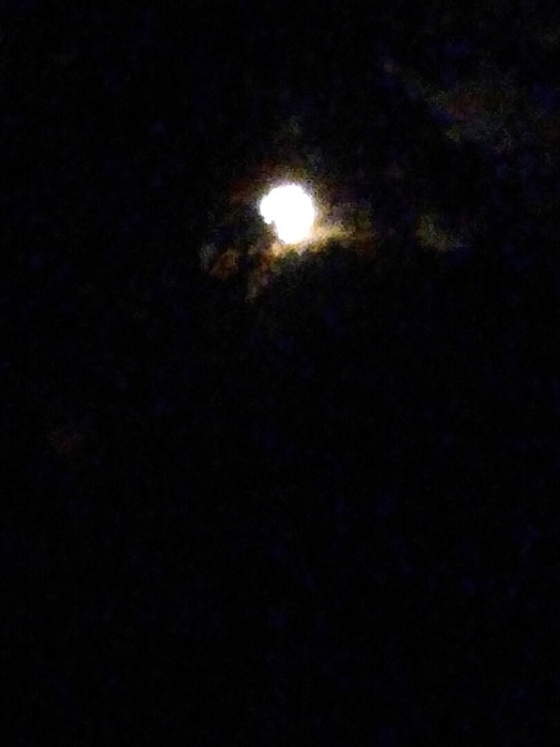 IMG_20200604_034222874.jpg