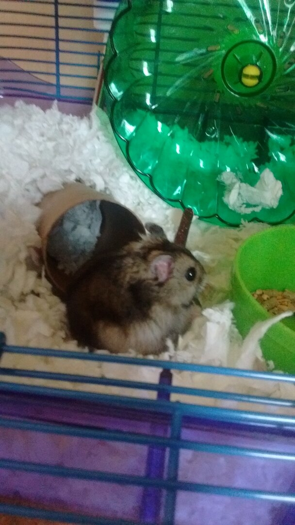 IMG_20200716_153934398.jpg