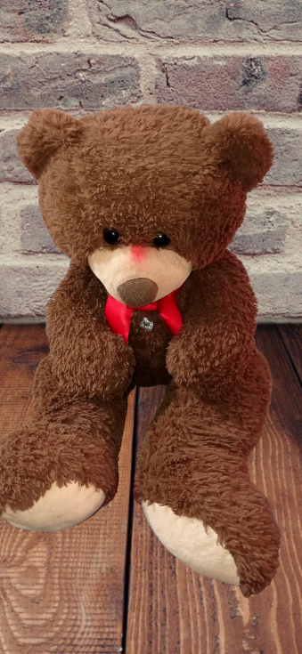 IMG_20230212_065222-removebg-preview.png