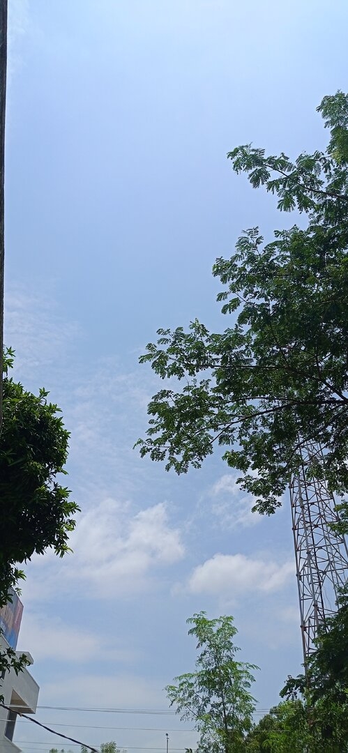 IMG_20240729_115830.jpg