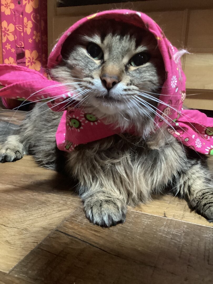 IMG_2156.jpeg