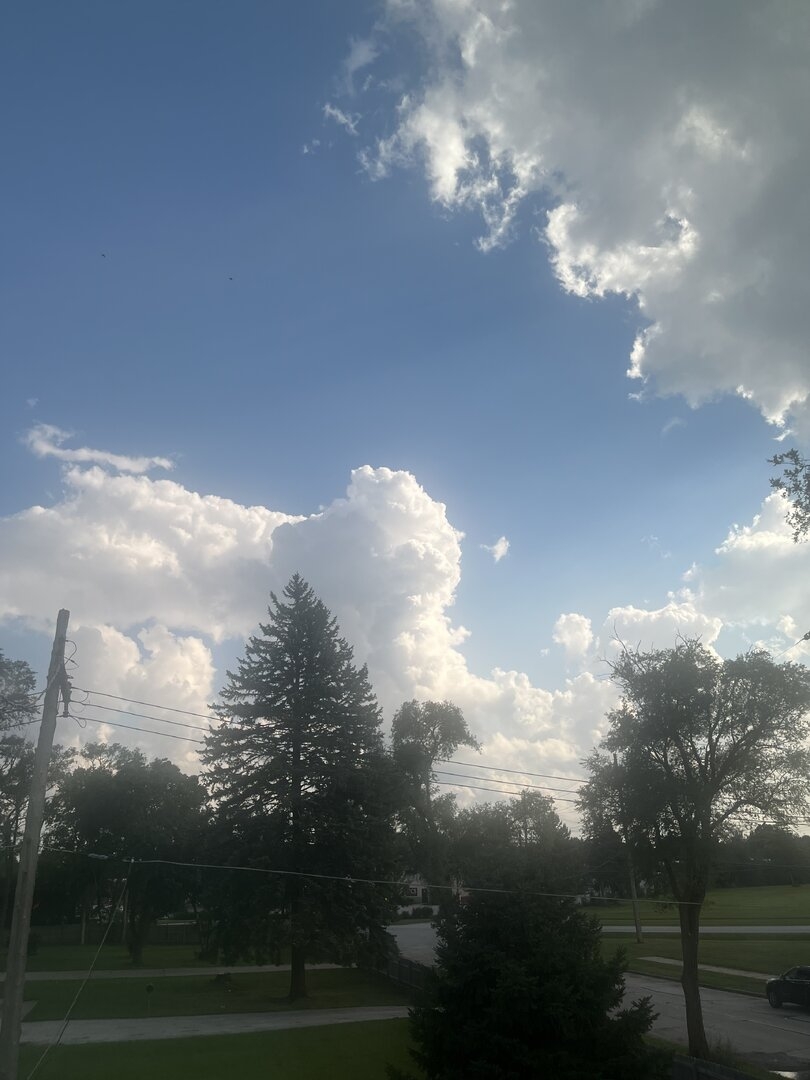 IMG_2230.jpeg