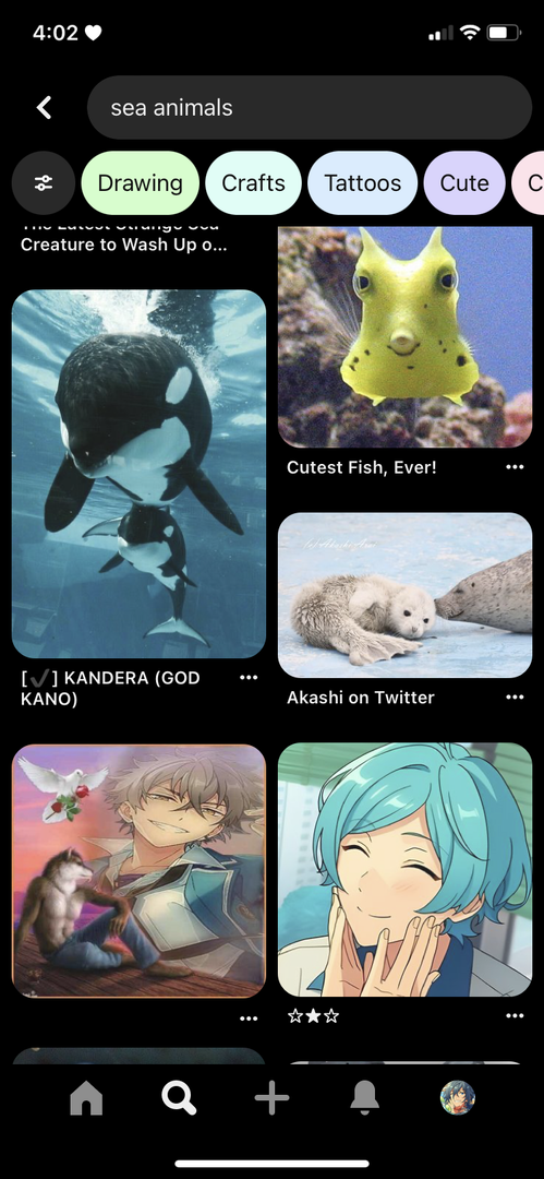 IMG_2374.png