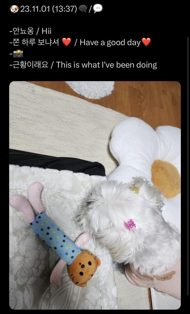 IMG_3270.jpeg
