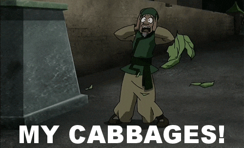 IMG_3580.gif