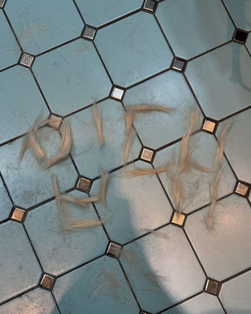 IMG_3906.jpeg