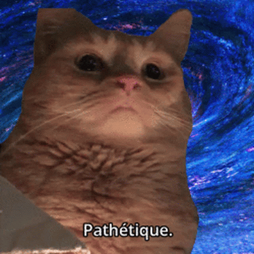 IMG_4035.gif