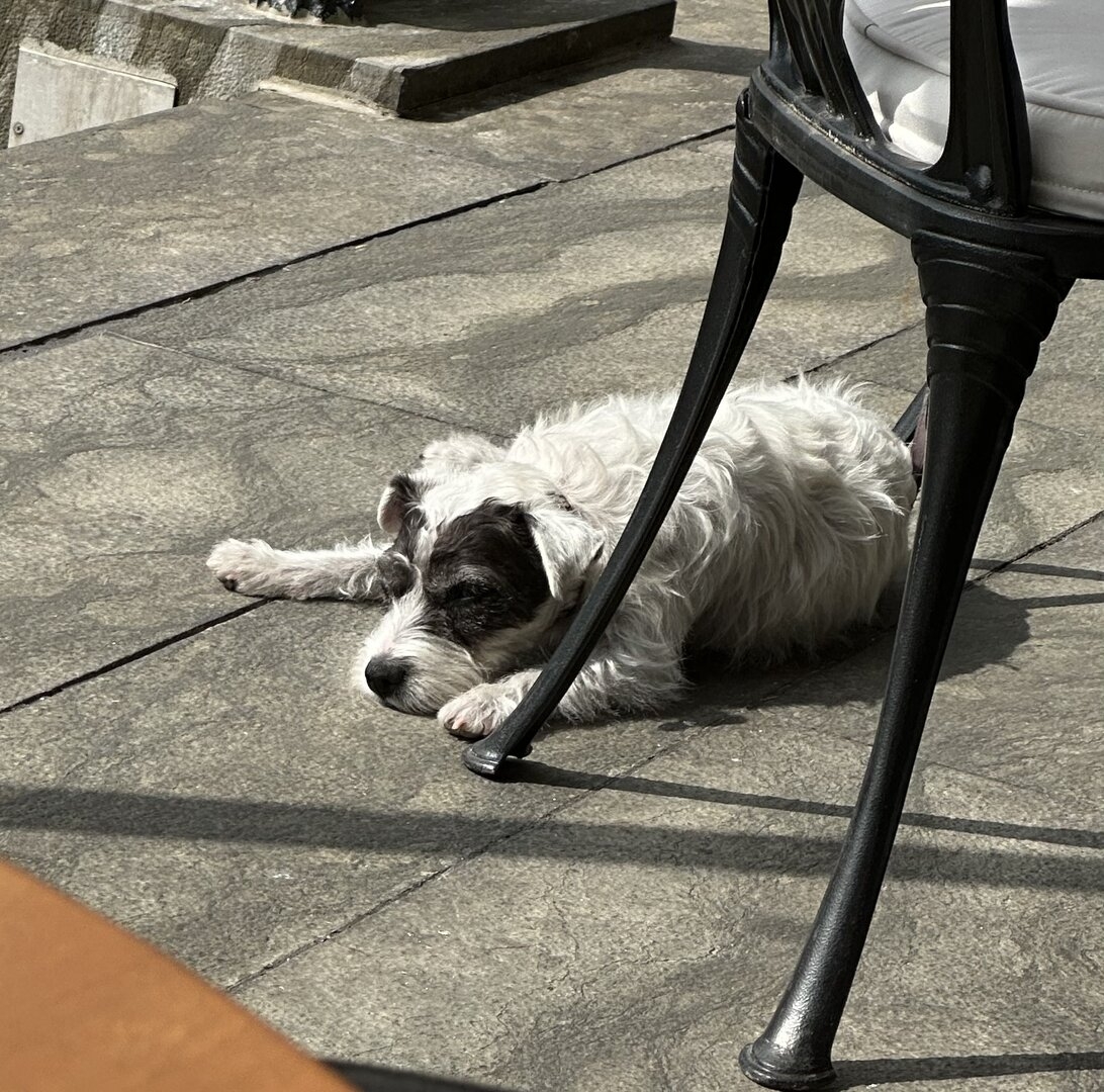IMG_4300.jpeg
