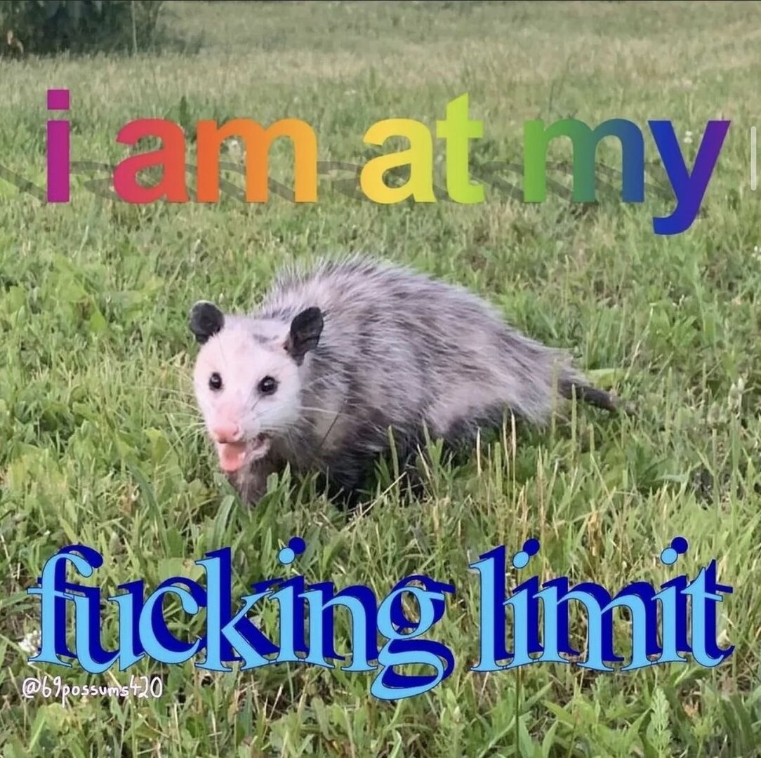 IMG_4341.jpeg