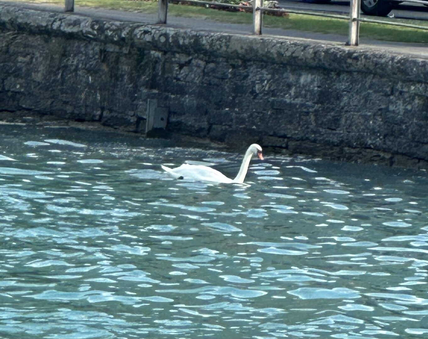 IMG_4459.jpeg
