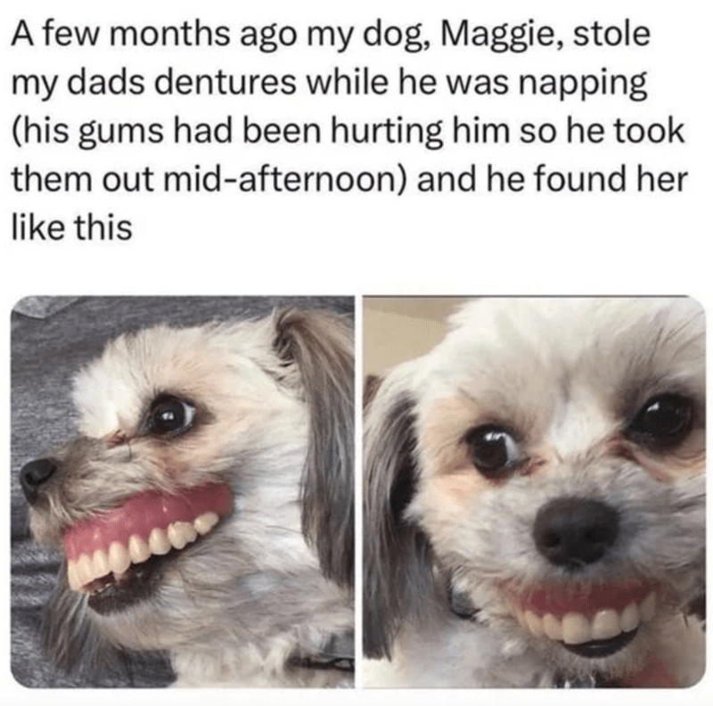 IMG_4521.png
