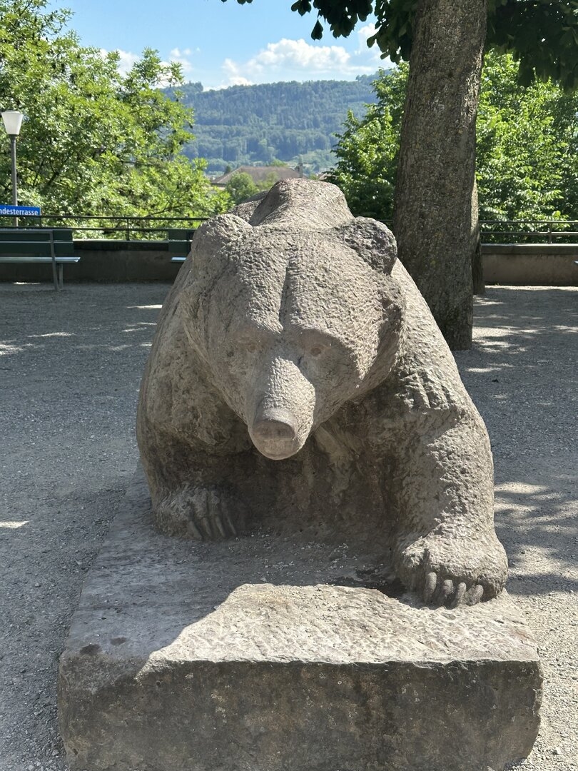 IMG_4557.jpeg
