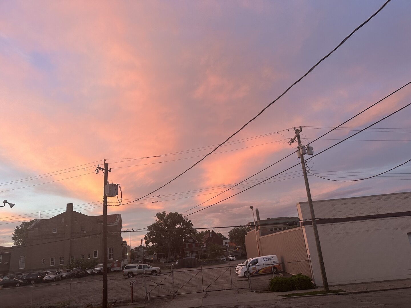 IMG_4668.jpeg