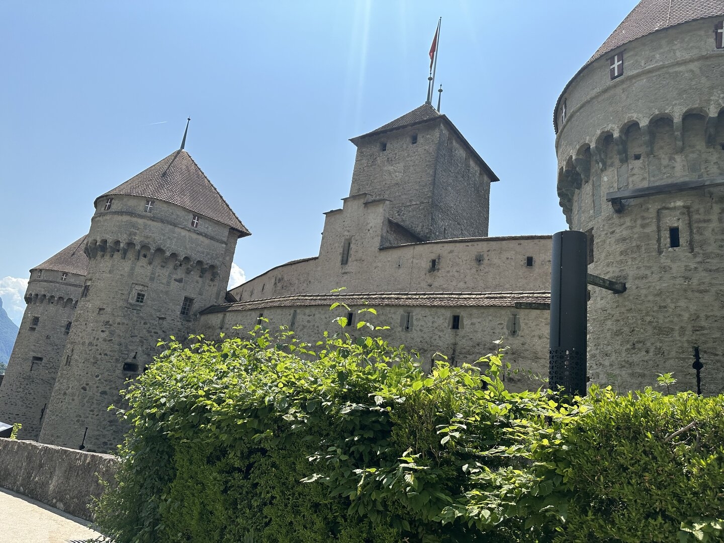 IMG_4697.jpeg