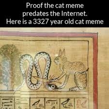 IMG_5139.jpeg