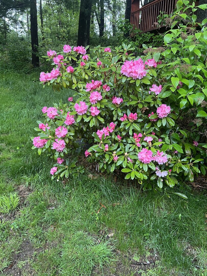 IMG_5959.jpeg