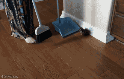 IMG_5983.gif