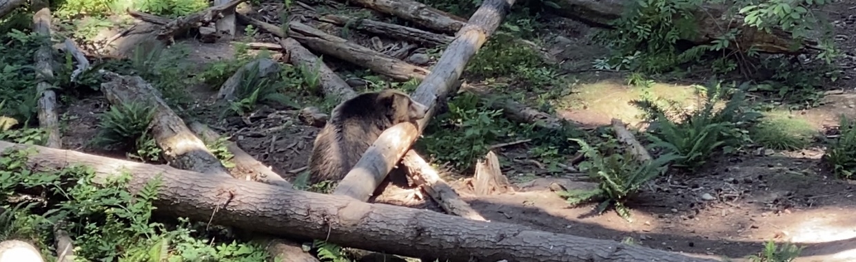 IMG_6224.jpeg