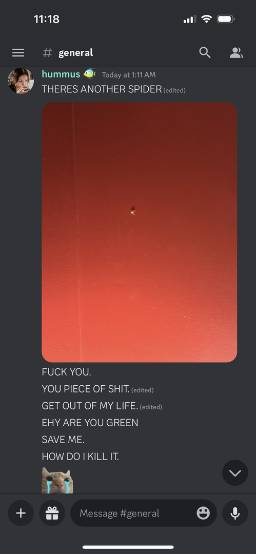 IMG_6334.png