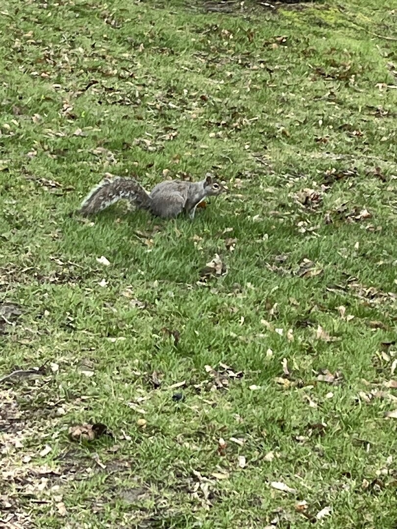 IMG_6603.jpeg