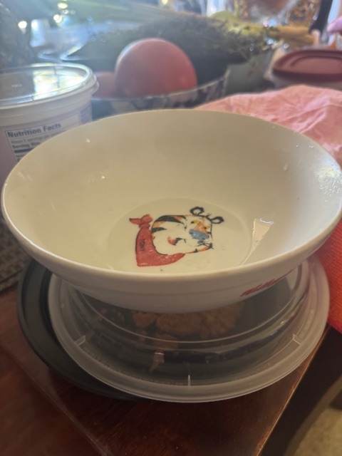 IMG_7065.jpeg