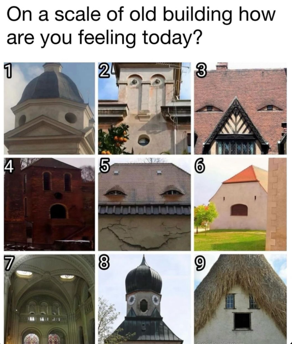 IMG_7708.png