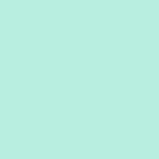 IMG_7742.png