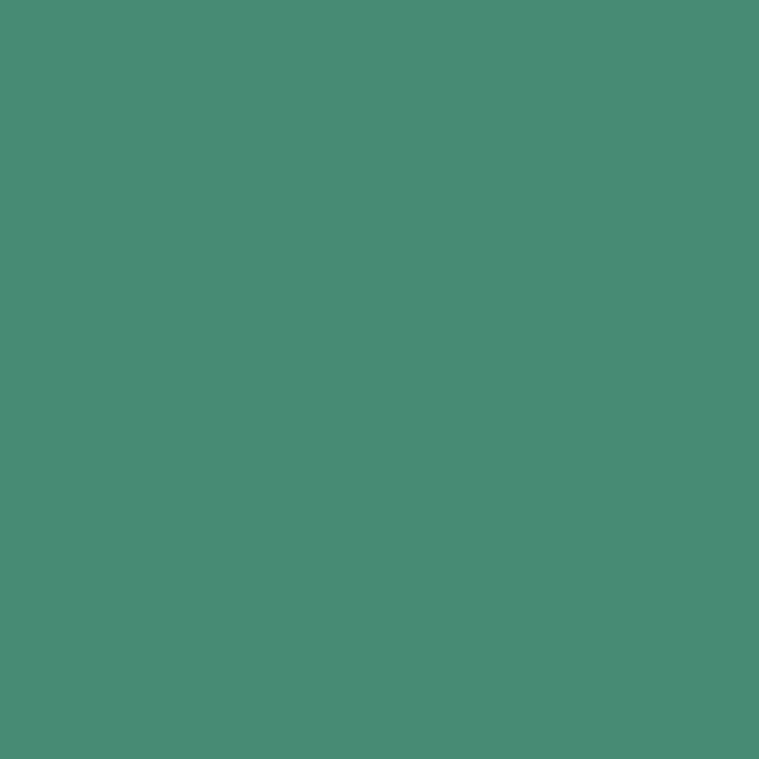IMG_7743.png