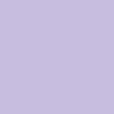 IMG_7747.png