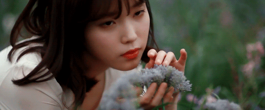 IMG_8017.gif
