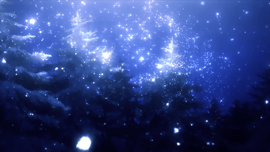 IMG_8020.gif