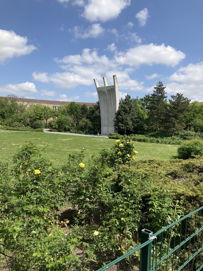 IMG_8426.jpeg