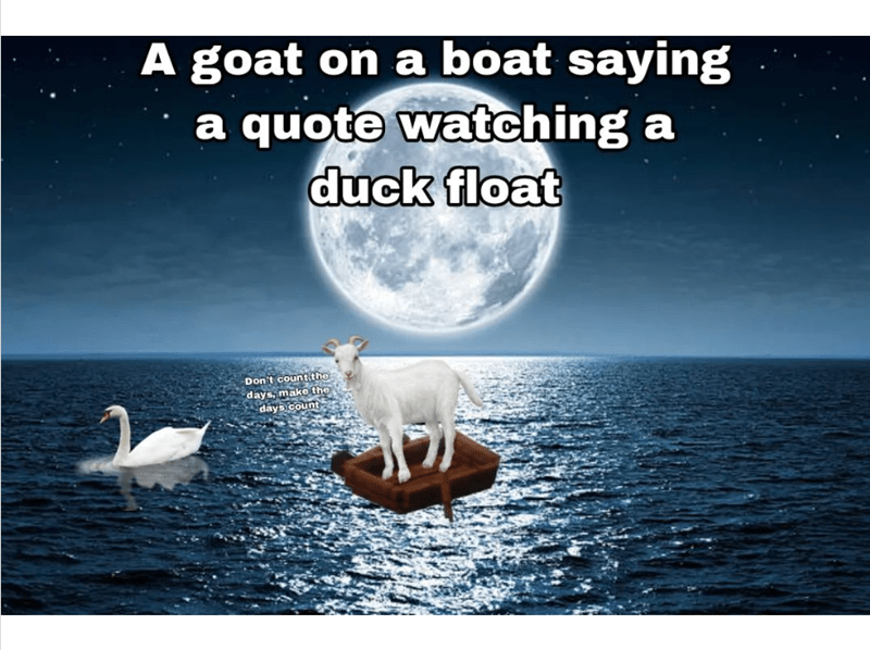 IMG_8504.png