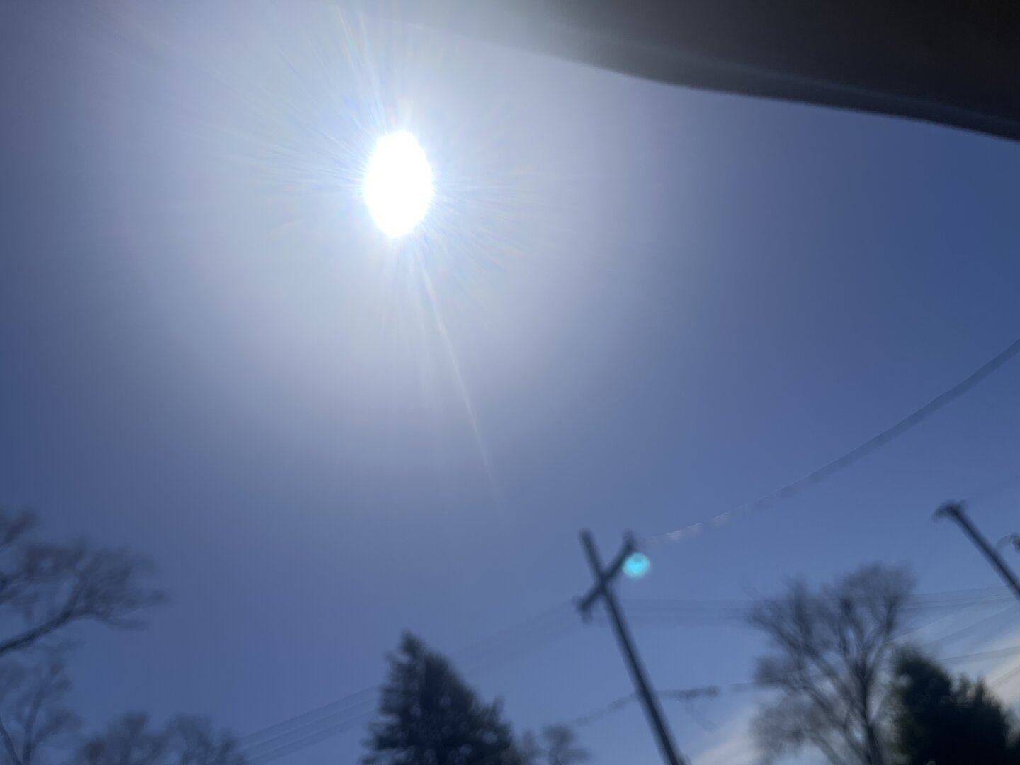 IMG_8530.jpeg