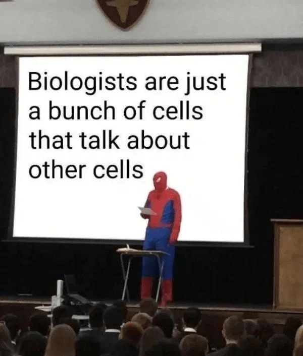 IMG_8576.png