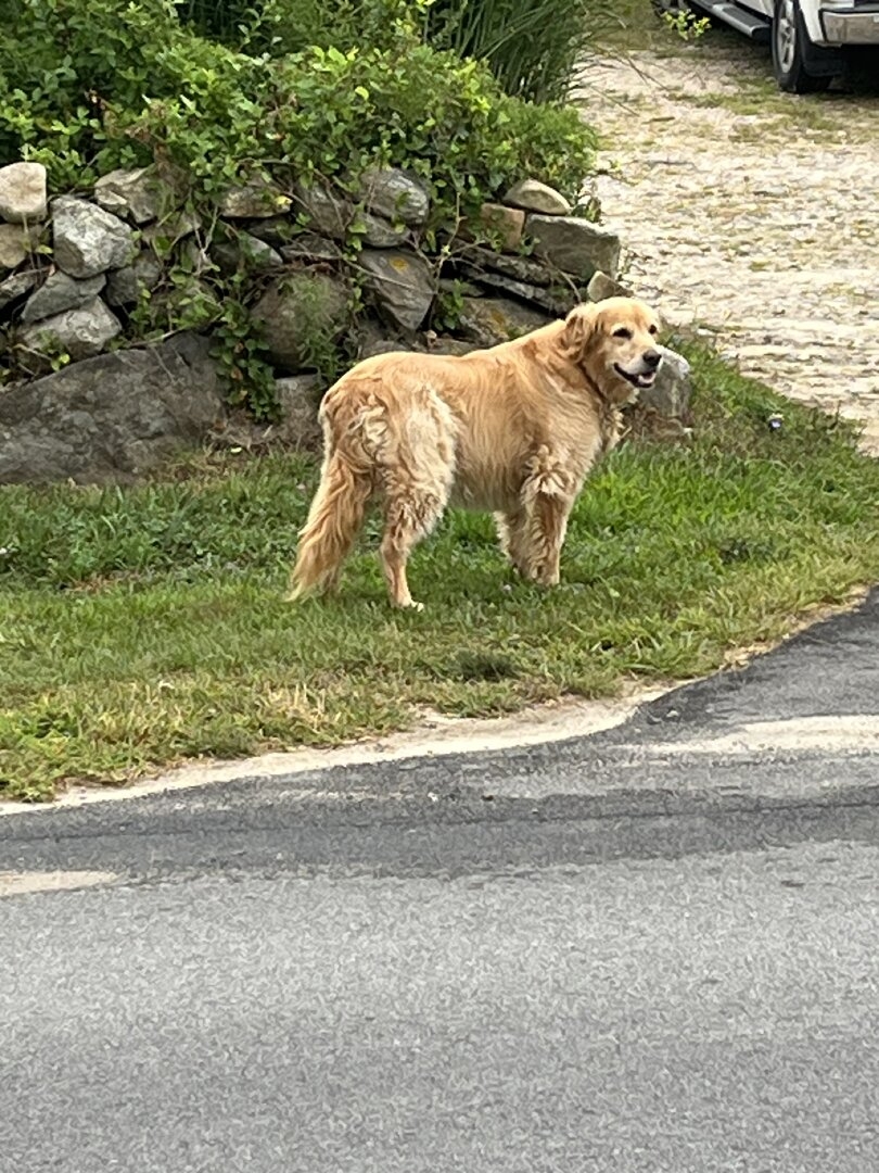 IMG_9613.jpeg