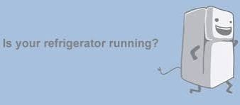 IMG_9917.jpeg