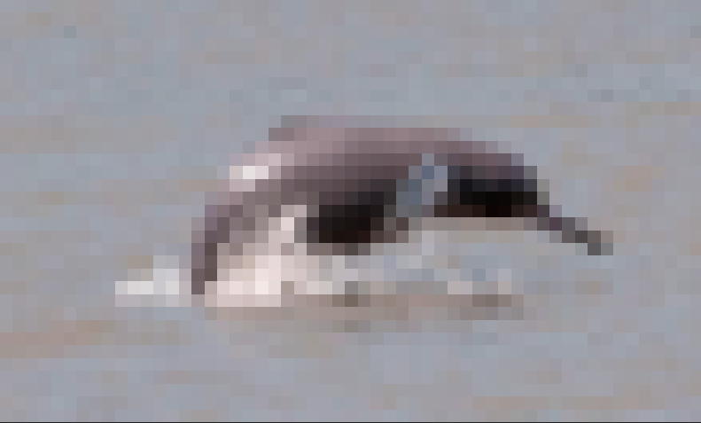 IndusPixel.png