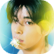 iPiccy-img (58).png