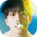 iPiccy-img (60).png