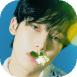 iPiccy-img (63).png