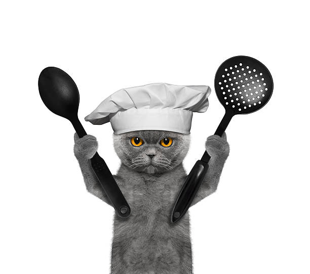 istockphoto-546808224-612x612.jpg