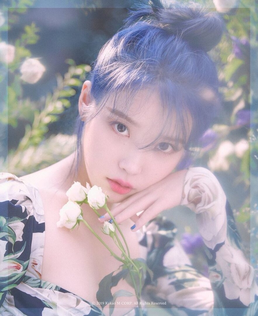 IU - 2.jpeg