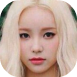 26040