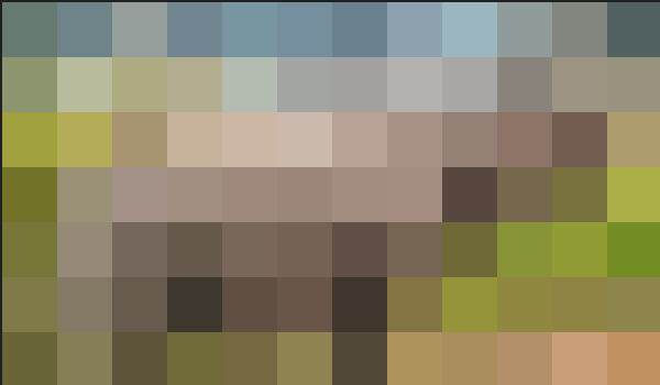 JavanPixel.png