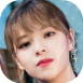 jeongyeon.png
