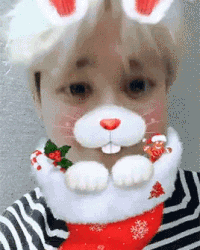 jimin2.gif