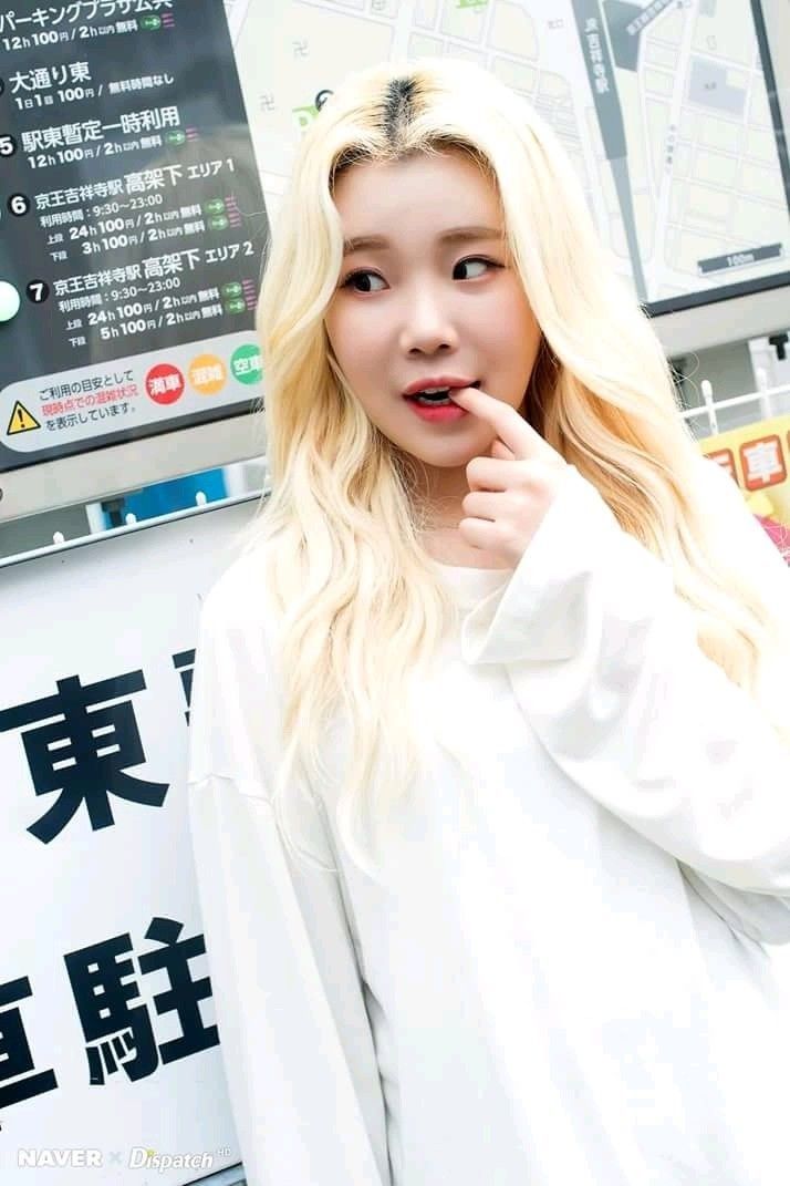 Jooe5.jpg