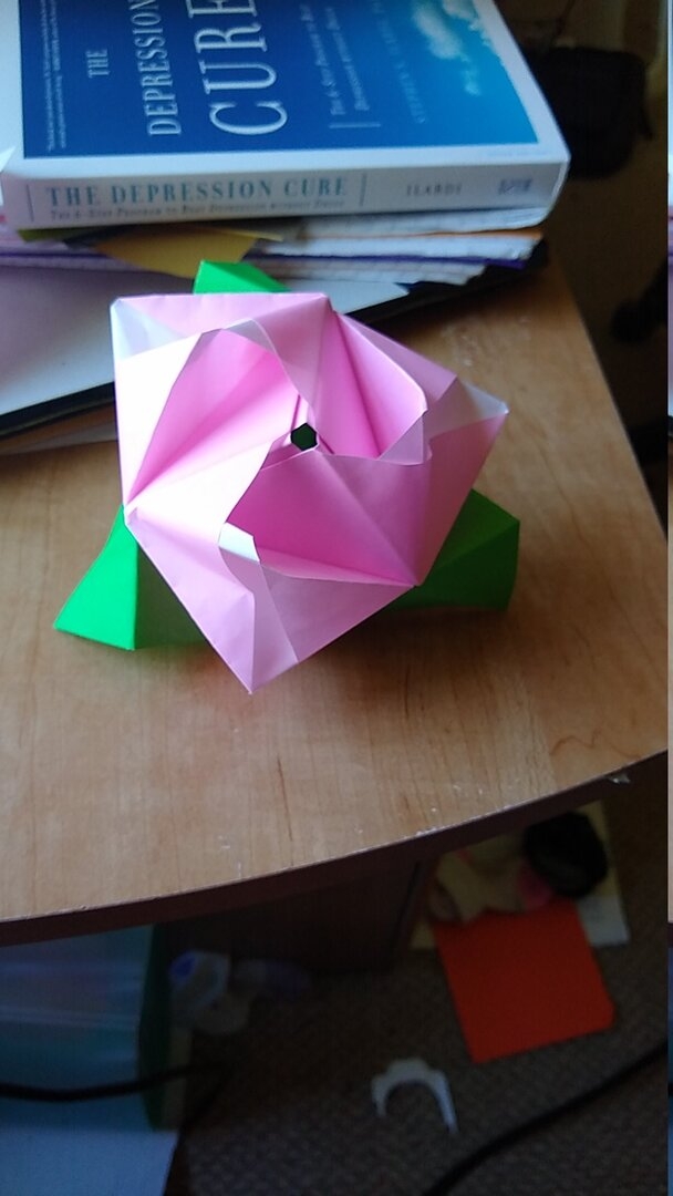 JPEG_20200521_124931.jpg